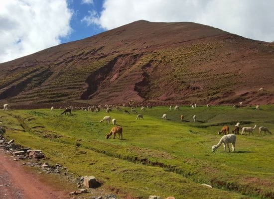 tour del valle sagrado de los incas