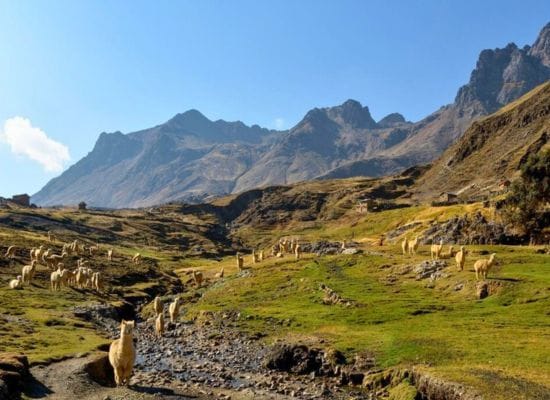 tour del valle sagrado de los incas
